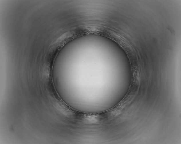 X0000110940710200906261300