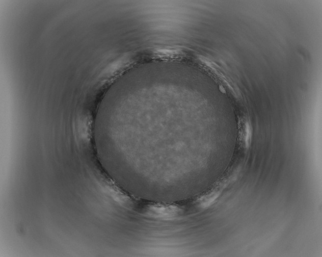 X0000110940712200906261300