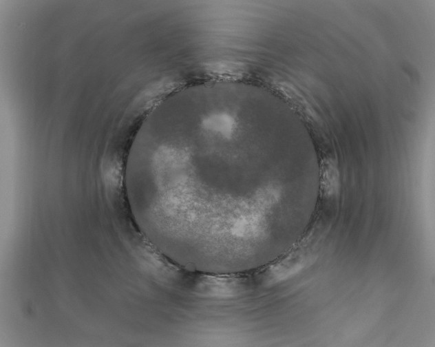 X0000110940713200906261300