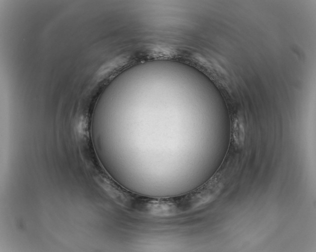 X0000110940714200906261300