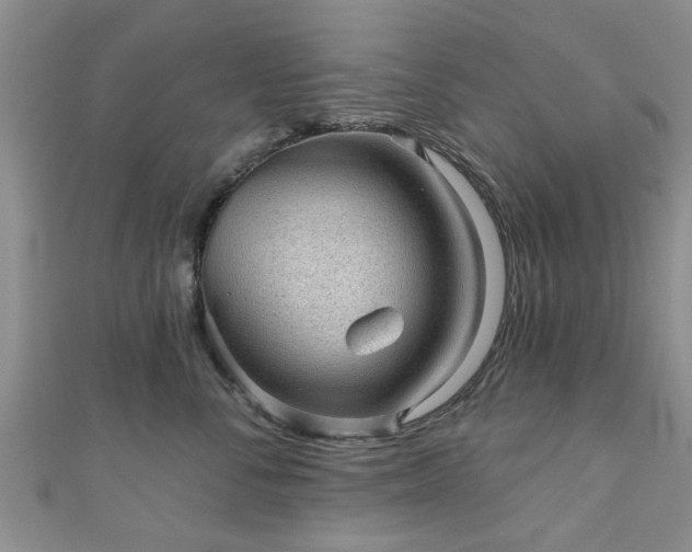 X0000110940716200906261300