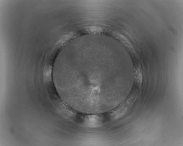 X0000110940717200906261300