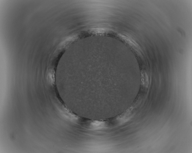 X0000110940718200906261300