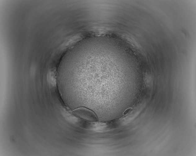 X0000110940719200906261300