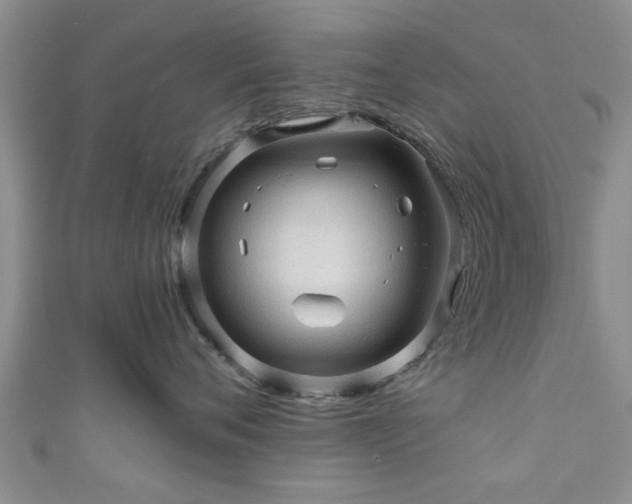 X0000110940720200906261300