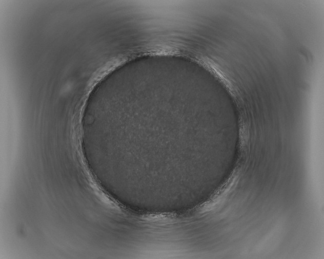 X0000110940721200906261300