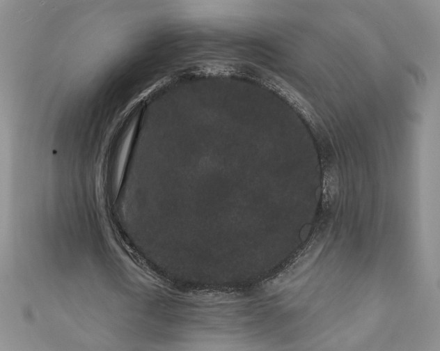 X0000110940722200906261300