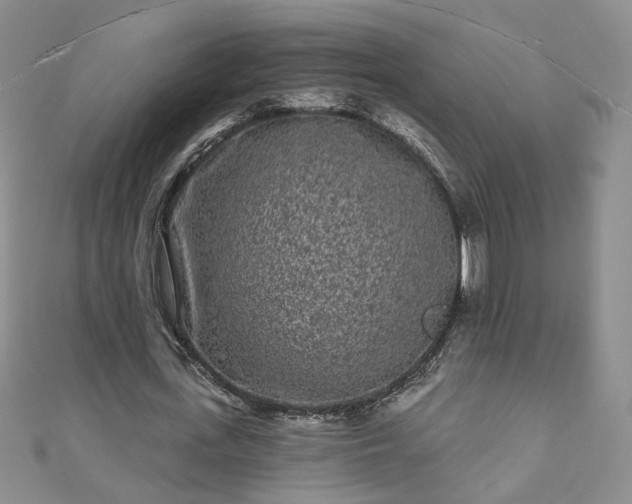 X0000110940723200906261300