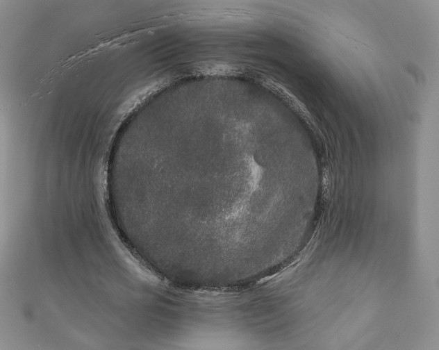 X0000110940725200906261300