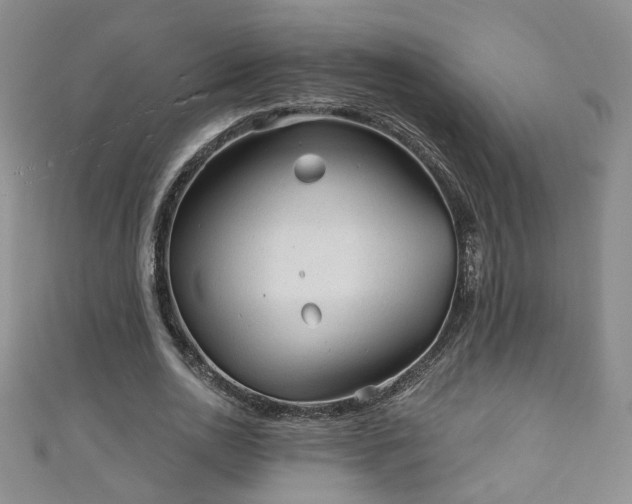 X0000110940726200906261300