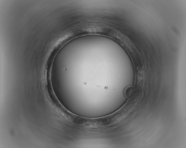 X0000110940727200906261300