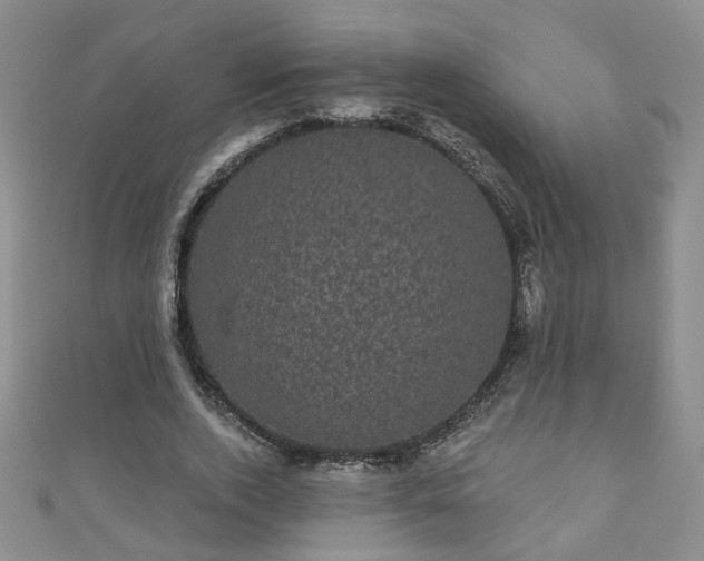 X0000110940728200906261300