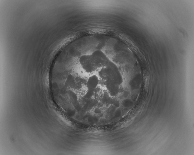 X0000110940729200906261300