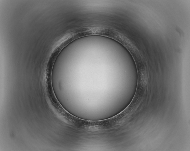 X0000110940730200906261300