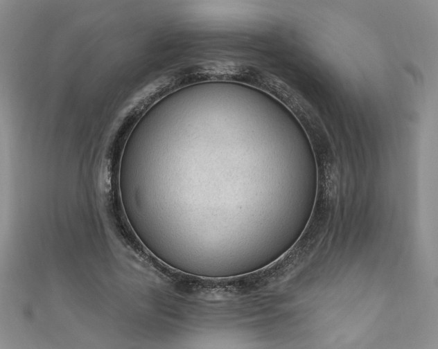 X0000110940731200906261300