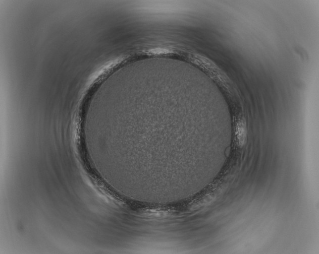 X0000110940732200906261300