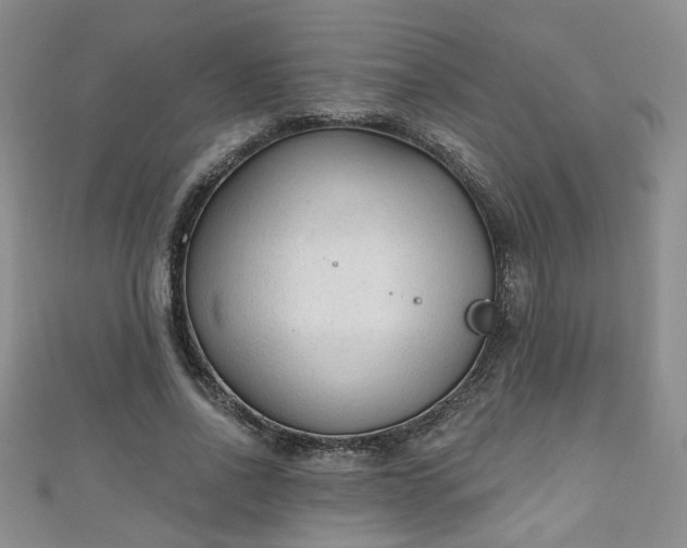 X0000110940734200906261300