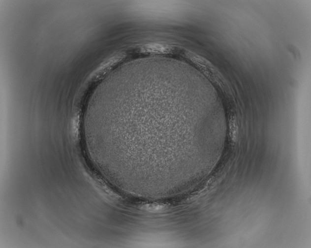 X0000110940735200906261300