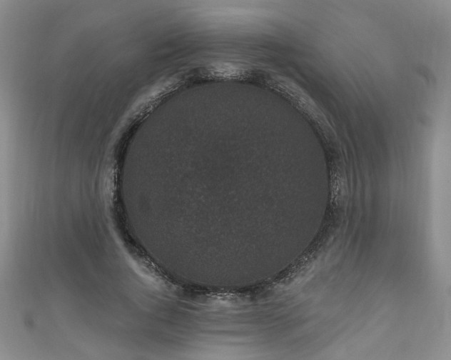 X0000110940736200906261300