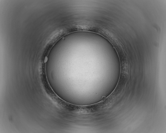 X0000110940738200906261300