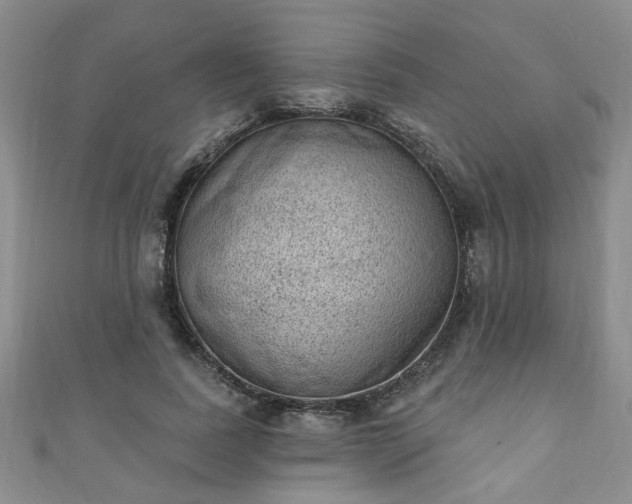 X0000110940739200906261300