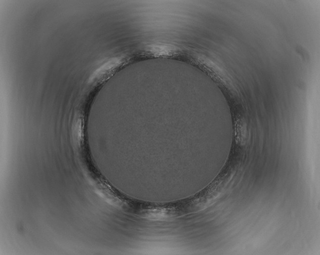 X0000110940740200906261300