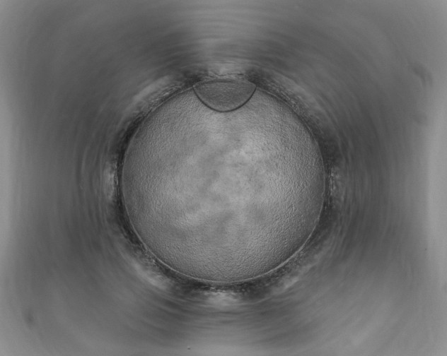 X0000110940741200906261300