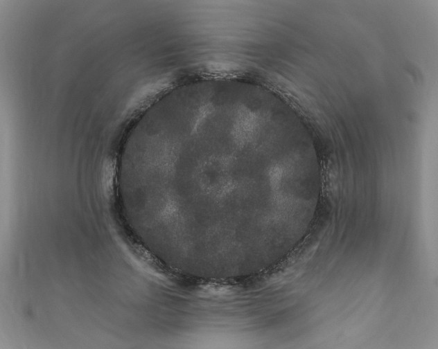 X0000110940742200906261300