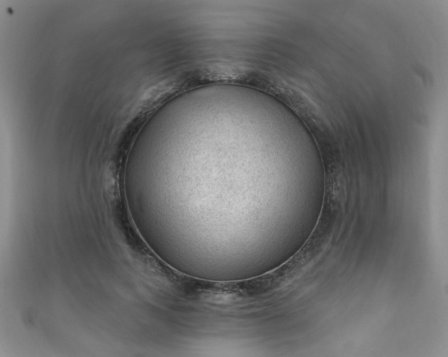 X0000110940743200906261300