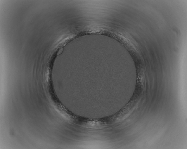 X0000110940744200906261300