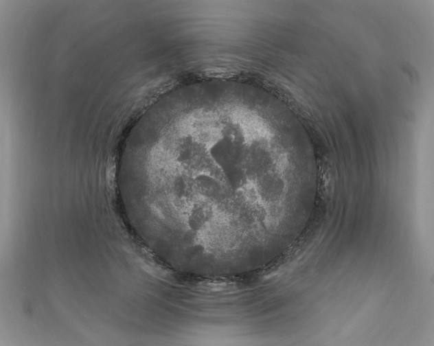 X0000110940745200906261300