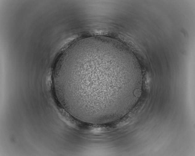 X0000110940746200906261300