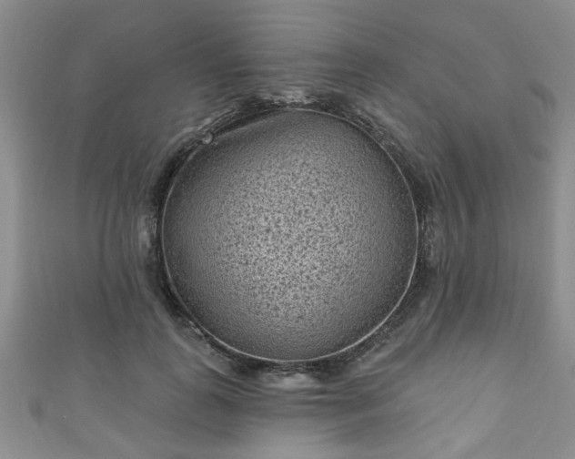 X0000110940747200906261300