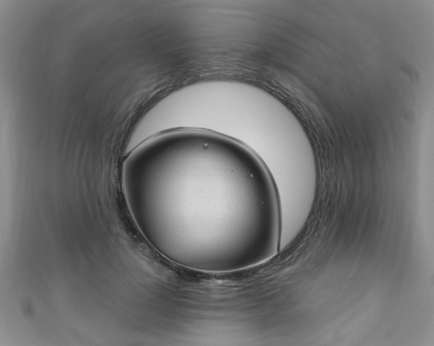 X0000110940748200906261300