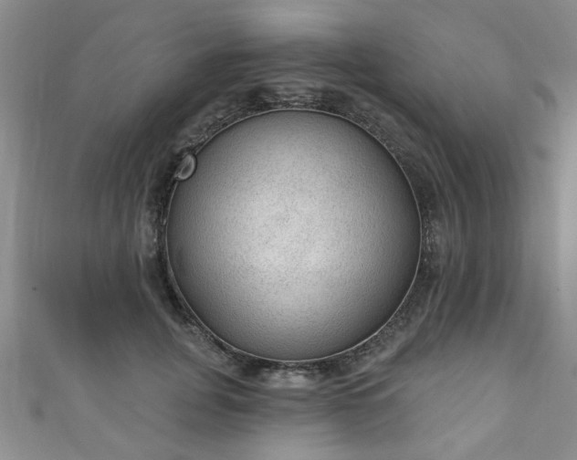 X0000110940751200906261300