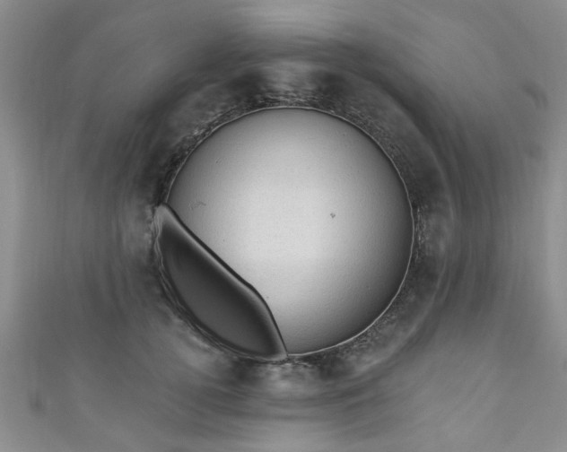 X0000110940752200906261300