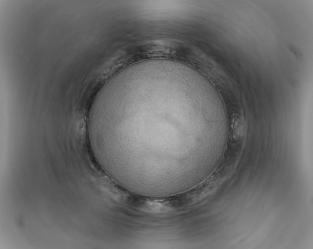 X0000110940753200906261300