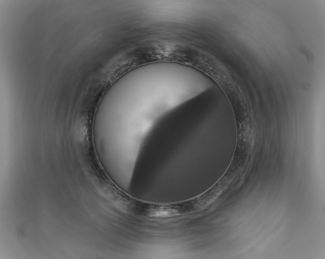 X0000110940754200906261300