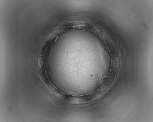 X0000110940755200906261300