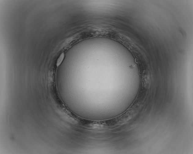 X0000110940756200906261300