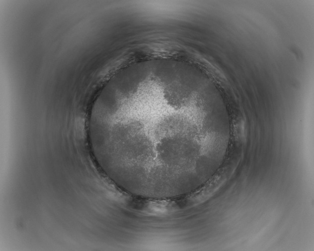 X0000110940757200906261300