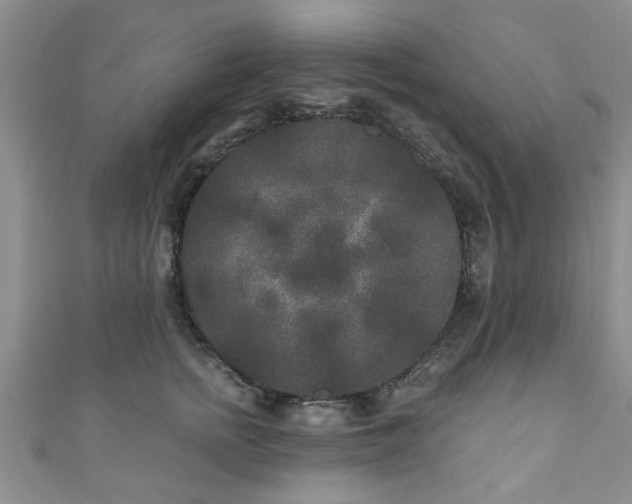 X0000110940758200906261300