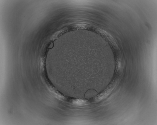 X0000110940759200906261300