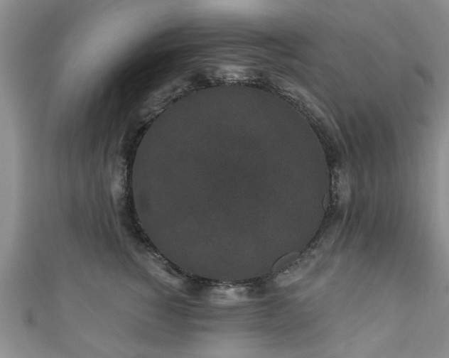 X0000110940760200906261300