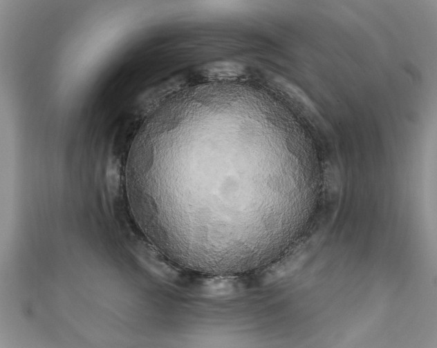 X0000110940761200906261300