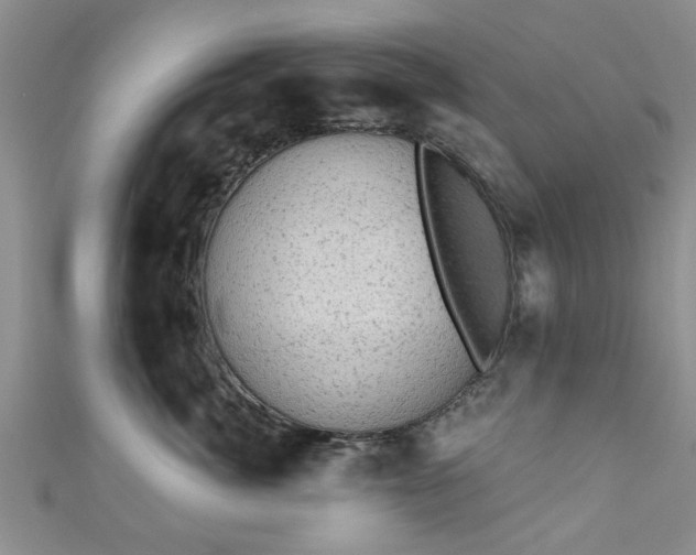 X0000110940764200906261300