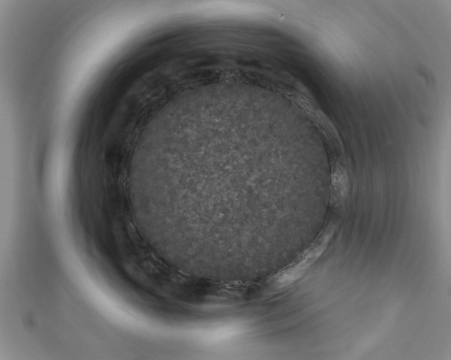 X0000110940765200906261300