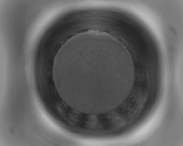 X0000110940766200906261300