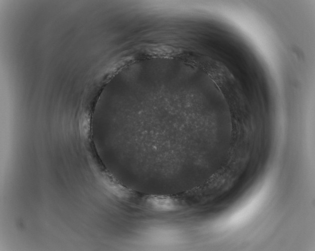 X0000110940767200906261300