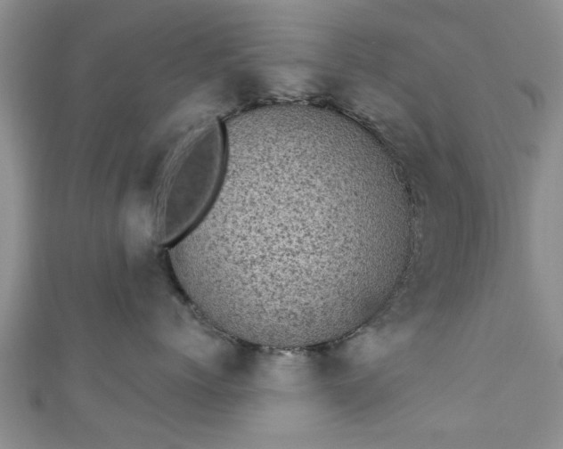 X0000110940768200906261300